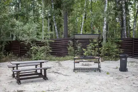 Золотые берега - 9