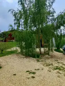 Топчян 17 - 5