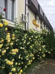 Визит - 3