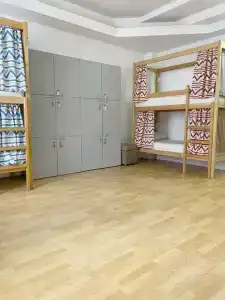 Cats Beds - 31