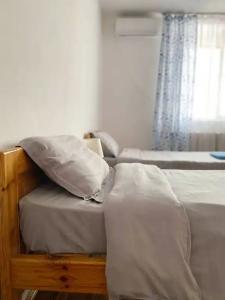 Cats Beds - 39