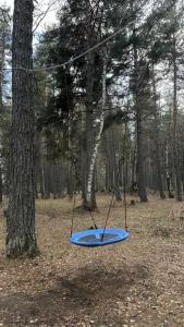 12 месяцев - 37