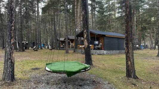 12 месяцев - 29