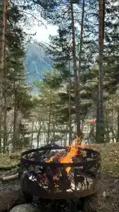 12 месяцев - 2