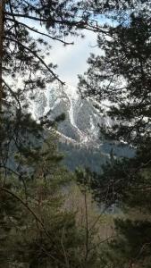 12 месяцев - 9