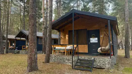 12 месяцев - 5