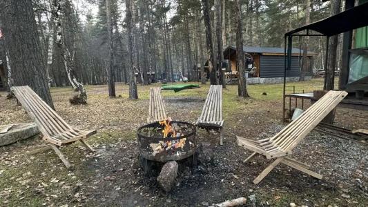 12 месяцев - 43