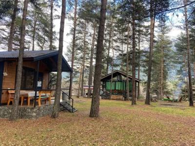 12 месяцев - 44