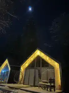 Ёлки House - 1