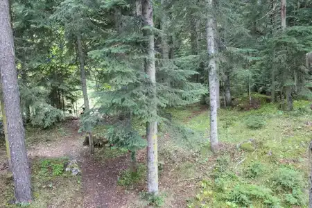 7 Звезд - 2
