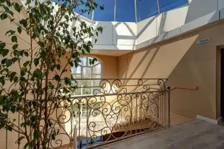 Журавли - 5