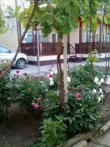 Гостевой дом на Коммунальников 23 - 8