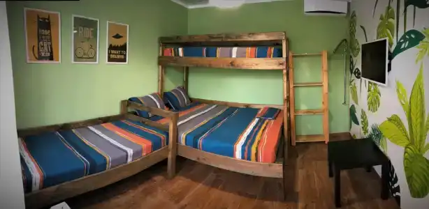Мимоза - 80