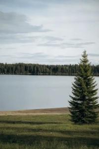 Айно - 2