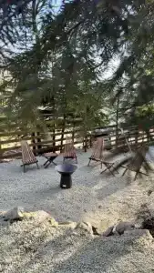 Fairy Fir Eco Retrit - 2