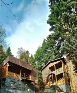 Fairy Fir Eco Retrit - 1