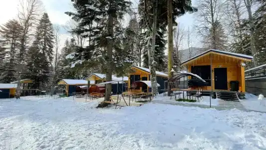 Аризона - 2