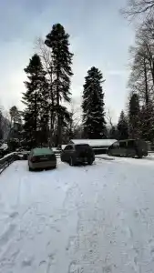 Аризона - 3