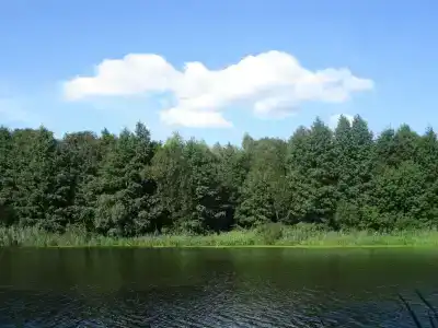 На Заречной Улице - 5