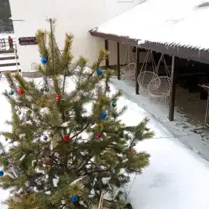 Конный двор Лощинино - 68