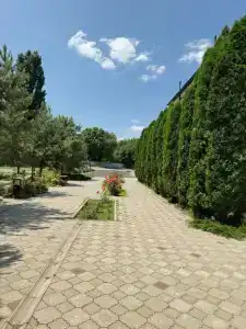 Сова - 3