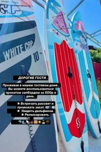 Пальмито - 15
