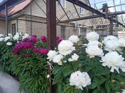 Как дома на Типографской - 32