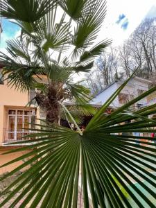 Aloiza RestHouse - 11