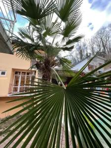 Aloiza RestHouse - 12