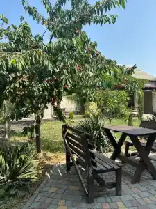 Фламинго - 2