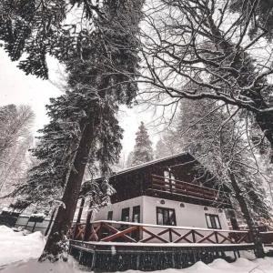 Dreamland VILLAS - 25