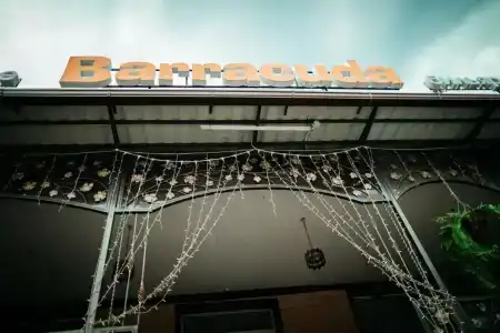 Барракуда - 2