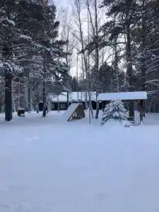 Белая сова - 2
