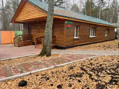 Белая сова - 1
