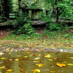 Панорама - 30