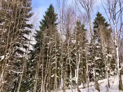 Панорама - 33