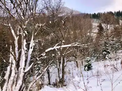 Панорама - 34