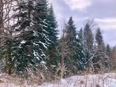 Панорама - 37