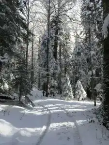 Панорама - 38