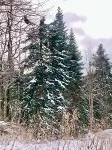 Панорама - 39