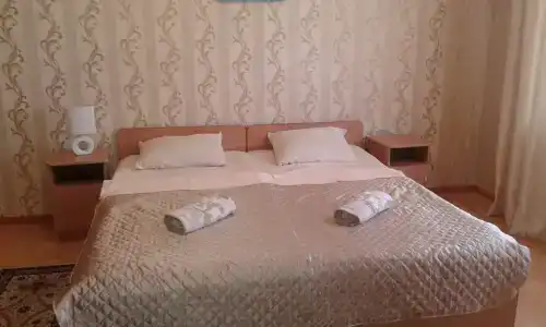 Сандро - 100
