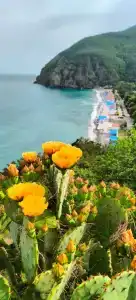 Владислава - 40