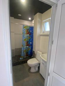 Алешкина мечта - 4