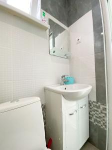 Алешкина мечта - 14