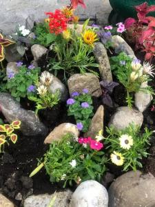 Алешкина мечта - 18