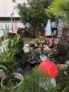 Алешкина мечта - 19