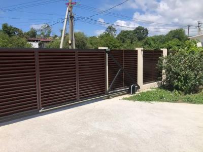 Алешкина мечта - 24