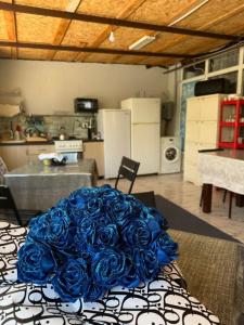 Алешкина мечта - 34