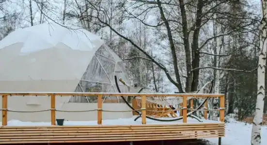 Holidays Forest - 2