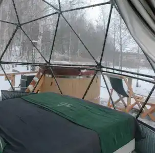 Holidays Forest - 4